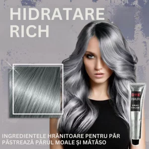 Vopsea De Păr Gri Argintie – GRAY PERFECT HAIR 03
