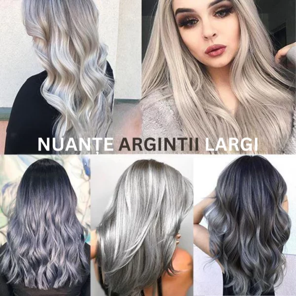 Vopsea De Păr Gri Argintie – GRAY PERFECT HAIR slider