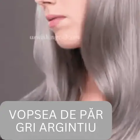 Vopsea De Păr Gri Argintie – GRAY PERFECT HAIR 03